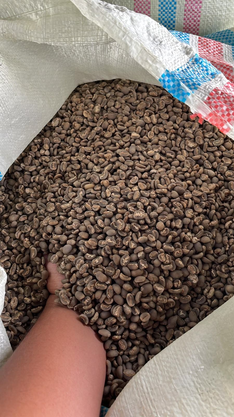 Green Coffee Beans